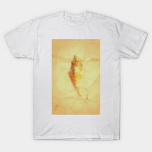 Conch Shell T-Shirt